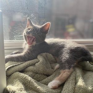 Meet your Posher, Fred